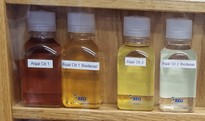 Two diverse samples of crude algal oil that were obtained from Solazyme, Inc.