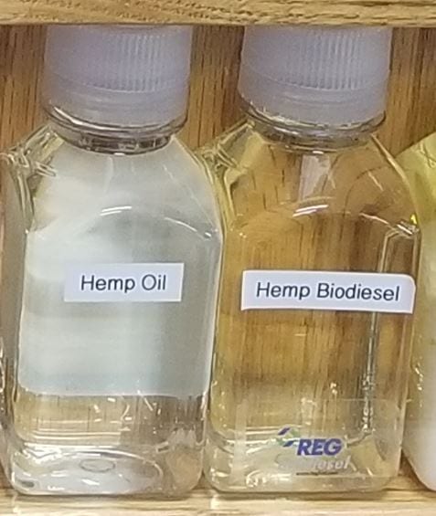Hemp Oil and hemp Biodiesel