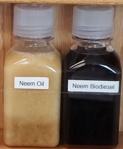 Neem Oil & Neem Biodiesel
