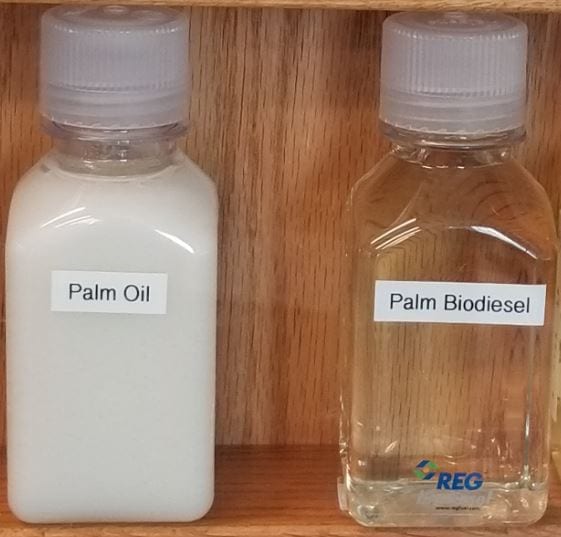 Palm Oil and Palm Oil Biodiesel