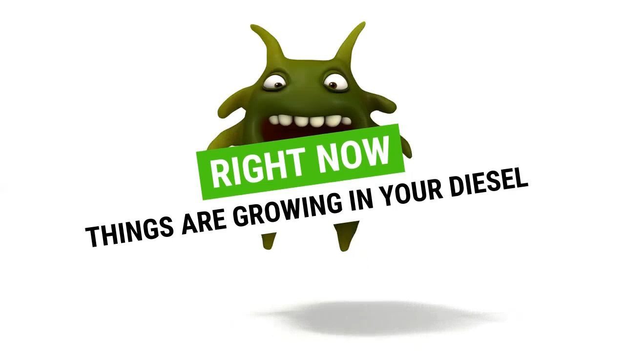 Kill the bugs growing in your fuel